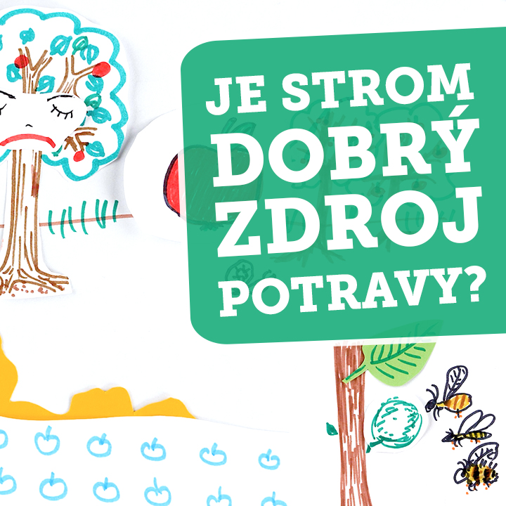 Je strom dobrý zdroj potravy?