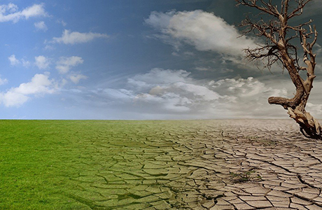 Vplyv klimatických zmien na rozšírenie živočíchov na Zemi