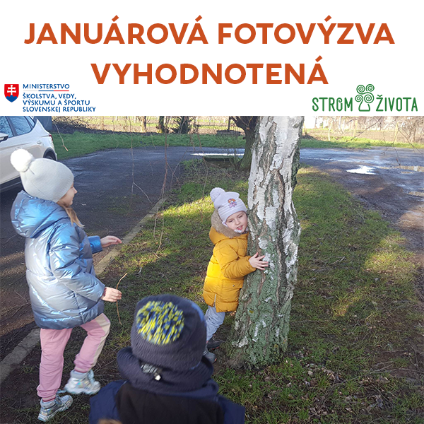 Januárová fotovýzva vyhodnotená