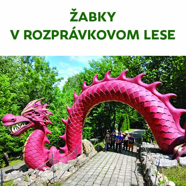 Žabky v rozprávkovom lese