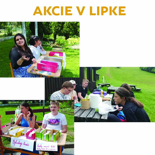 Akcie v Lipke