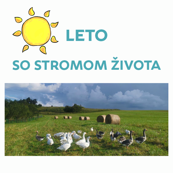 Skvelé leto so Stromom života