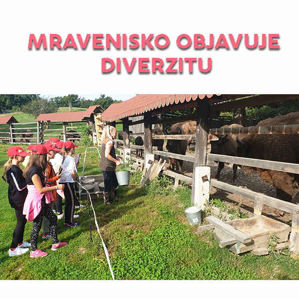 Mravenisko z Ludaníc objavuje diverzitu