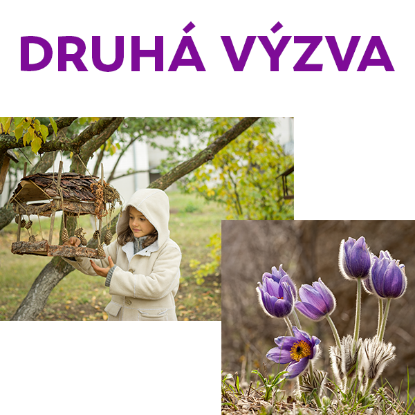 Druhá výzva