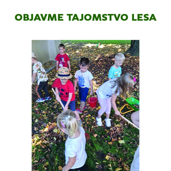 Objavme tajomstvo lesa