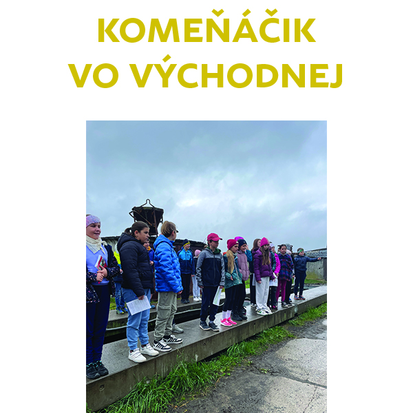 Komeňáčik vo Východnej