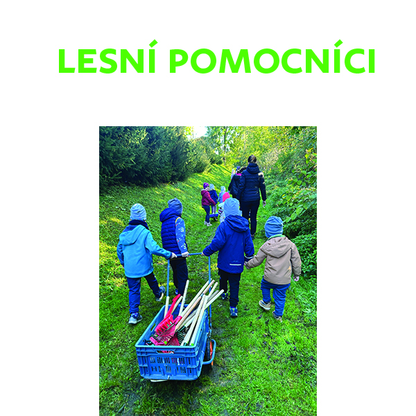 Lesní pomocníci