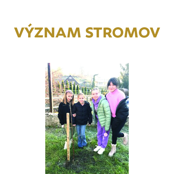 Význam stromov na školskom dvore