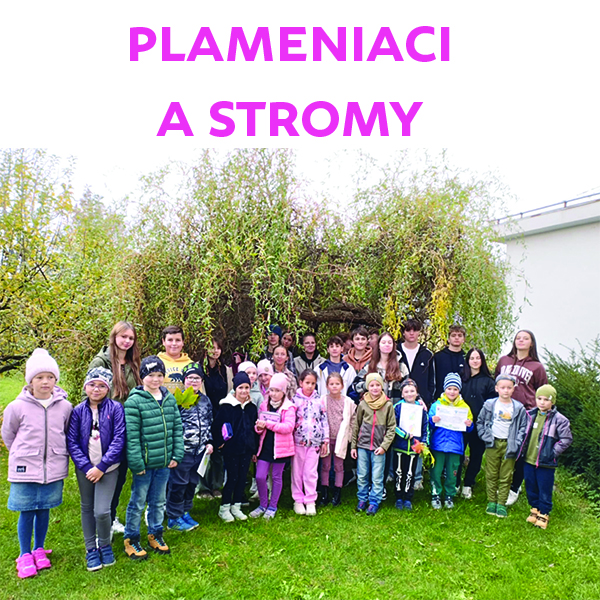 Plameniaci poznávajú stromy