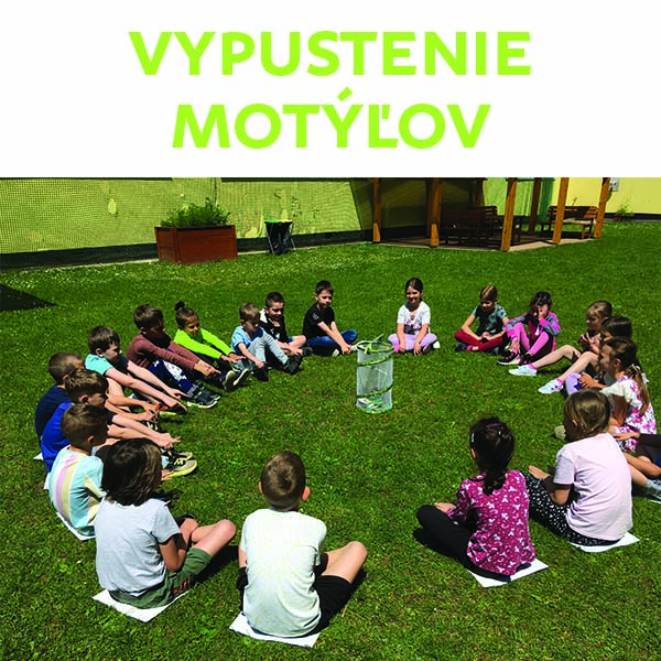 Vypustenie motýľov