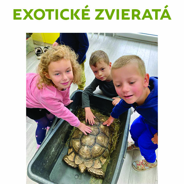 Exotické zvieratá v škôlke