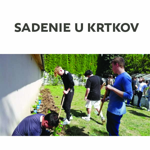 Sadenie u Krtkov