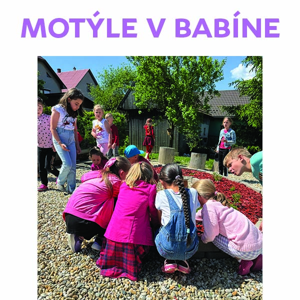 Motýle v Babíne