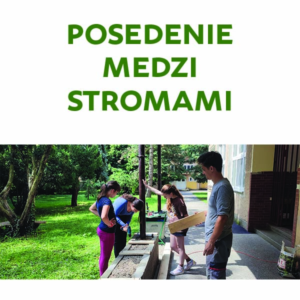 Posedenie medzi stromami