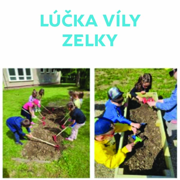 Lúčka víly Zelky