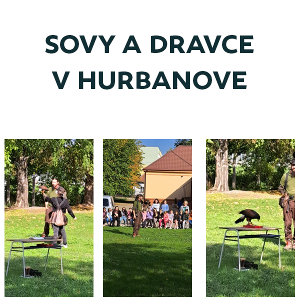 Sovy a dravce v Hurbanove