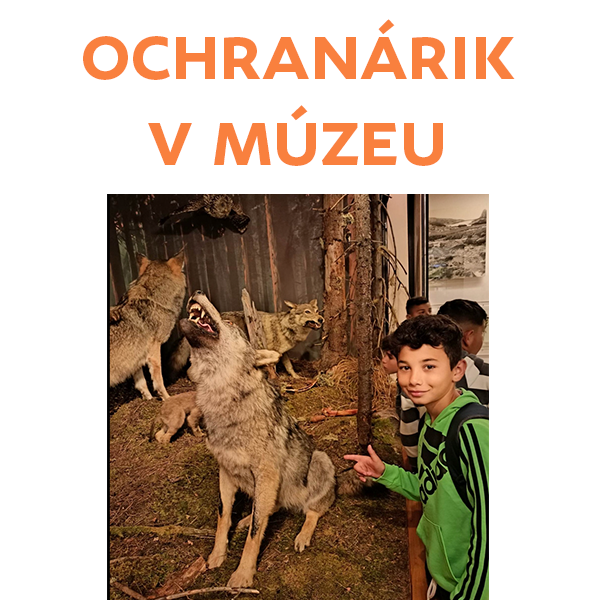 Ochranárik v múzeu TANAP-u