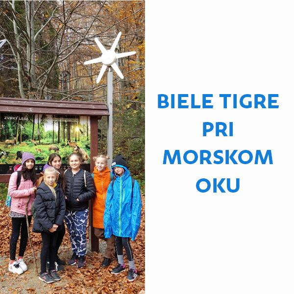 Biele tigre pri Morskom oku