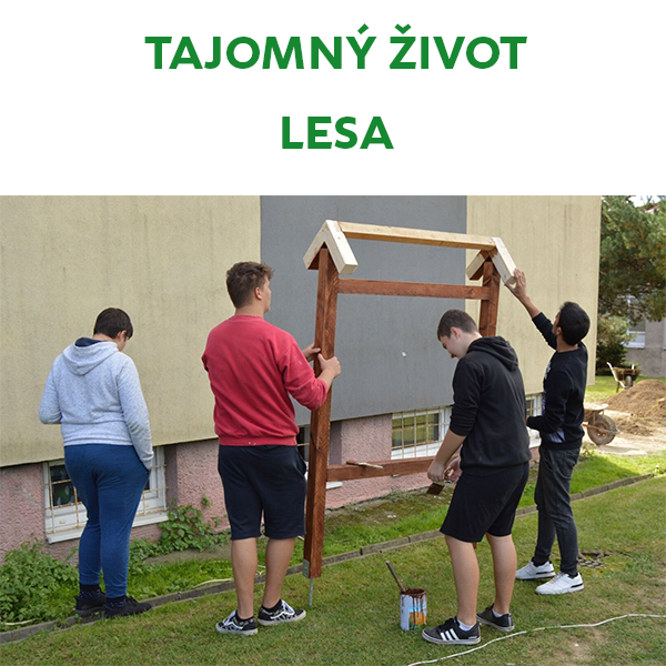 Tajomný život lesa