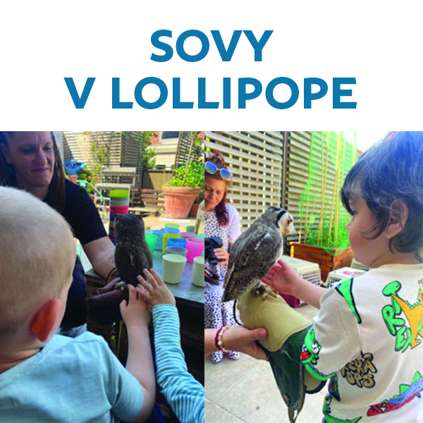 Sovy v Klube Lollipop