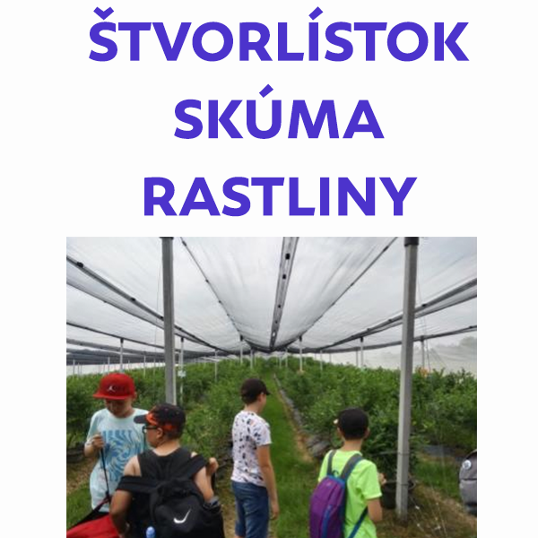 Štvorlístok skúma rastliny