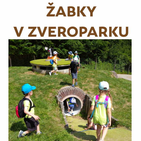 Žabky v Zveroparku