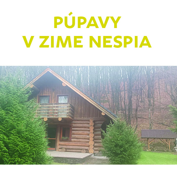 Púpavy v zime nespia