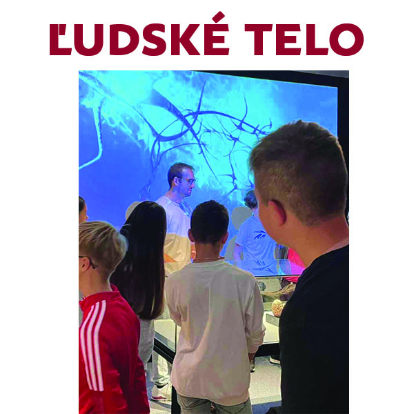 Ľudské telo