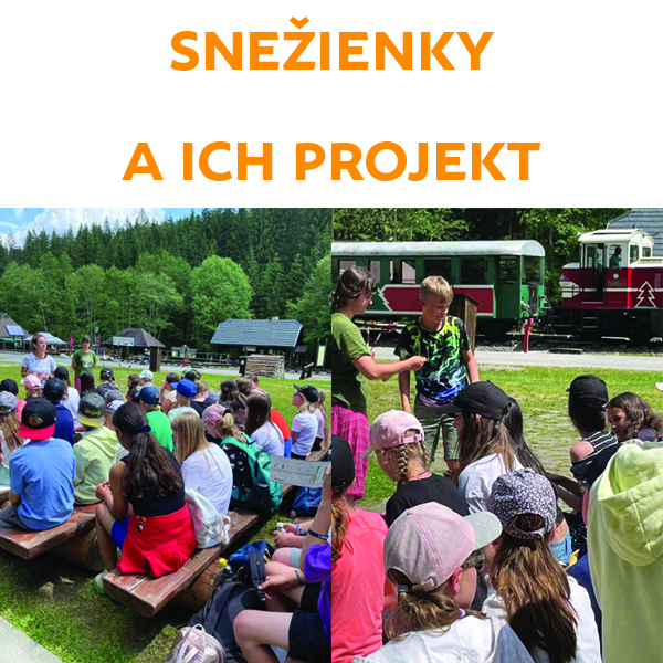 Snežienky a ich projekt