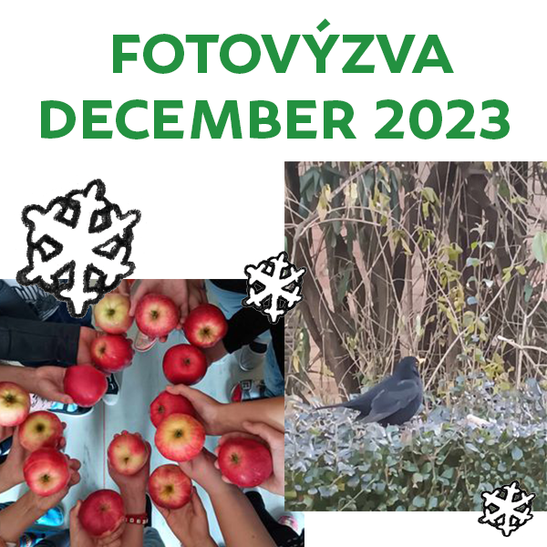 Vyhlasujeme FOTOVÝZVU december 2023