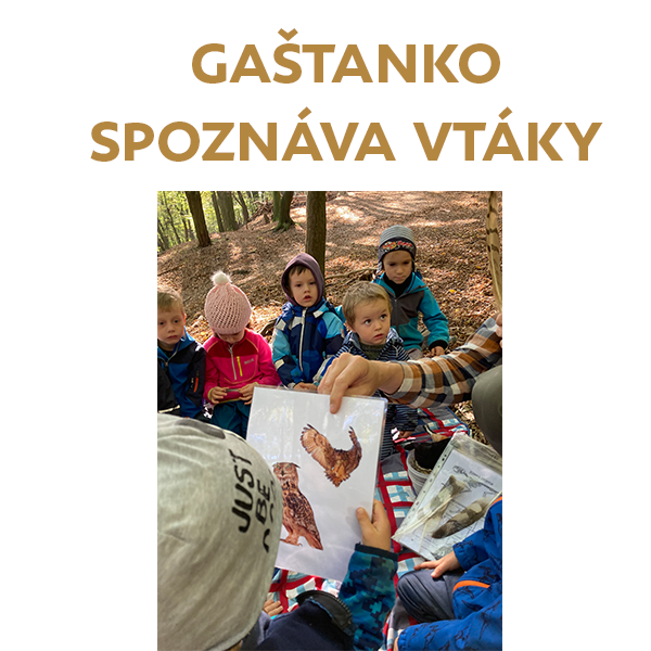 Gaštanko spoznáva vtáky našich lesov