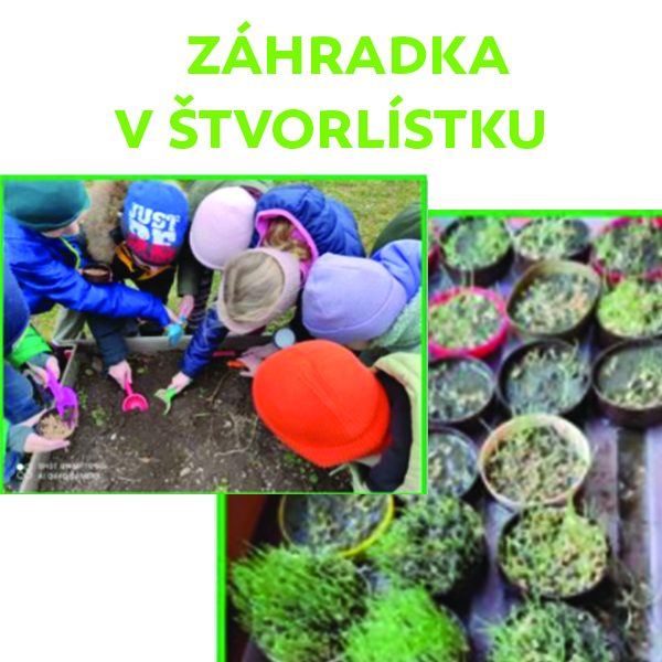 Záhradka v Štvorlístku