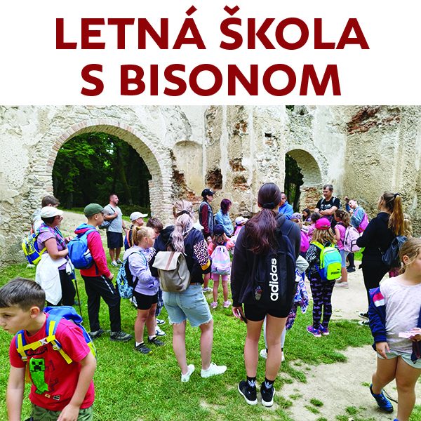 Letná škola s Bisonom