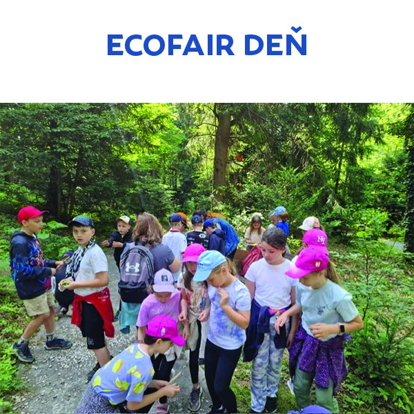 Ecofair na Kolibe