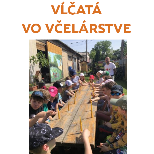 Vĺčatá vo včelárstve