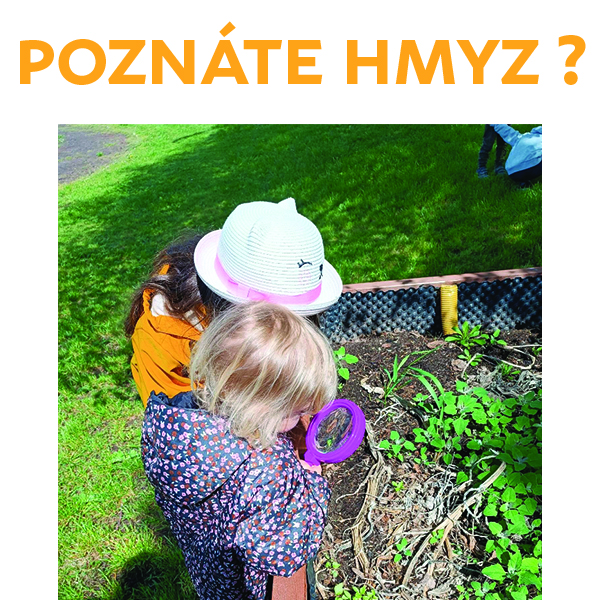 Spoznávame hmyz