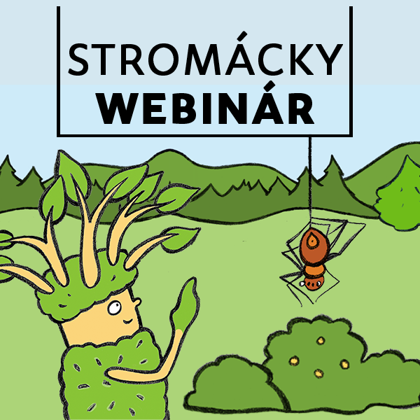 Stromácky webinár november 2024