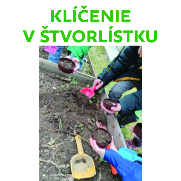 Klíčenie v Štvorlístku