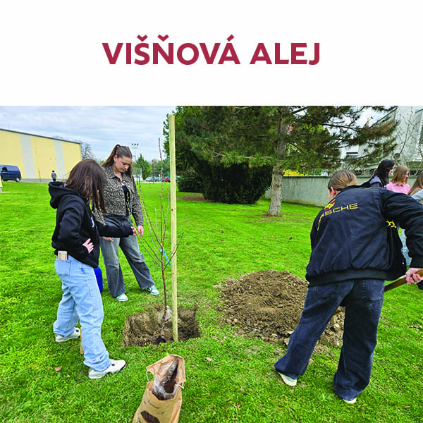 Višňová alej