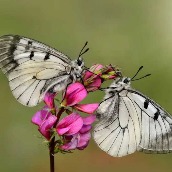 Dobrodružná aprílová brigáda na Vršatci