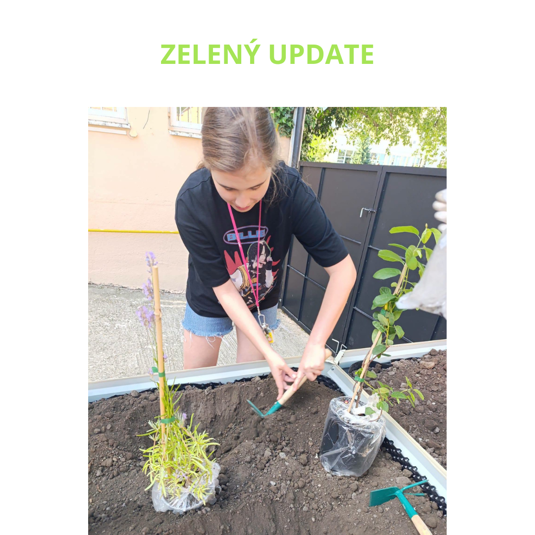 Zelený update