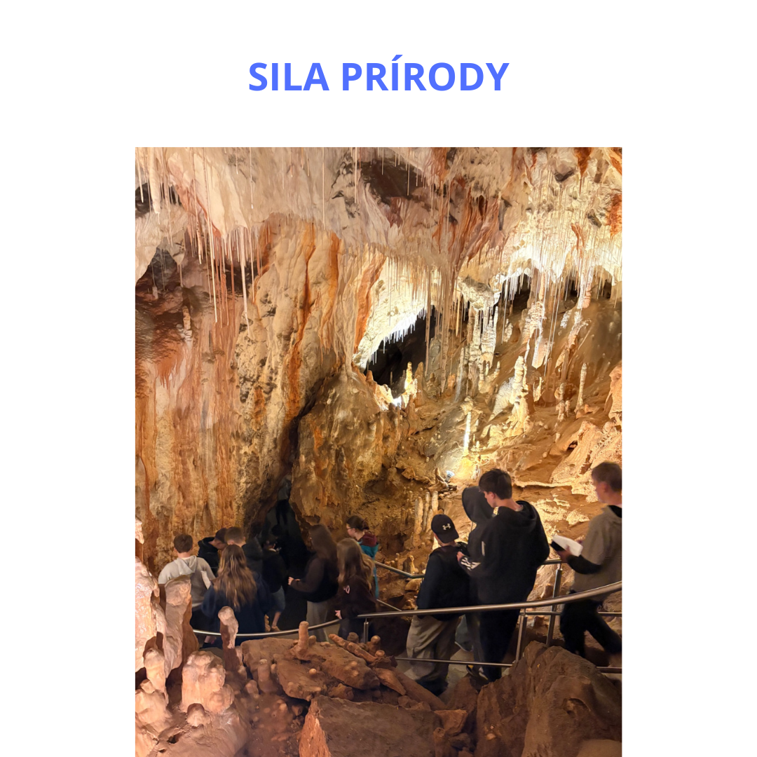 Sila prírody