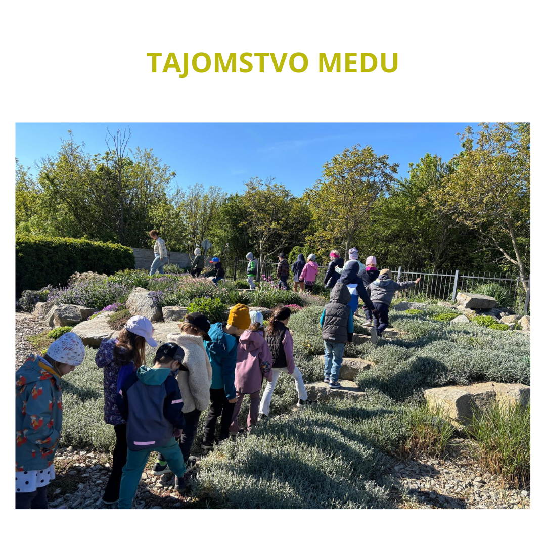 Tajomstvo medu