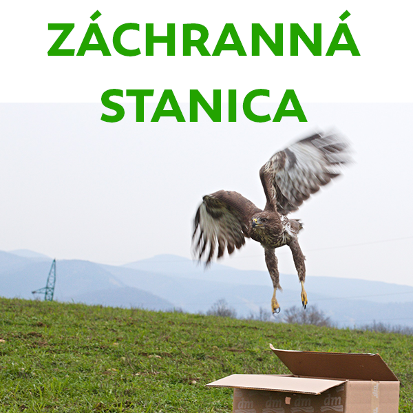 Záchranná stanica pre voľne žijúce živočíchy