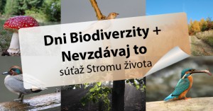 Súťaž Dni biodiverzity a Nevzdávaj to