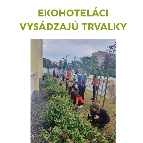 Ekohoteláci a ich projekt