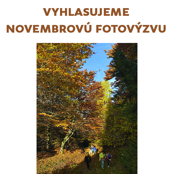 Vyhlasujeme novembrovú FOTOVÝZVU 2024