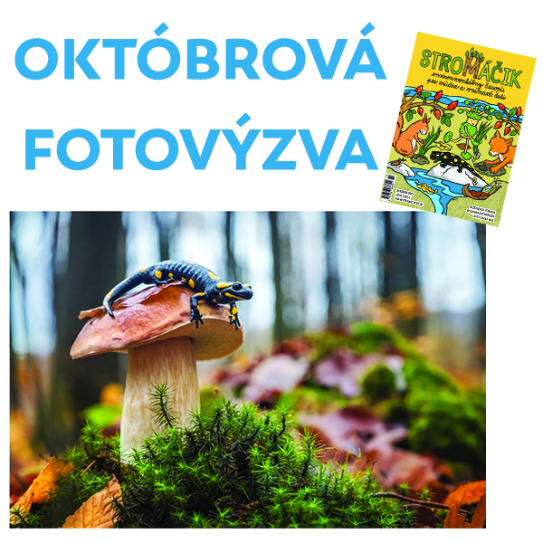 Októbrová fotovýzva