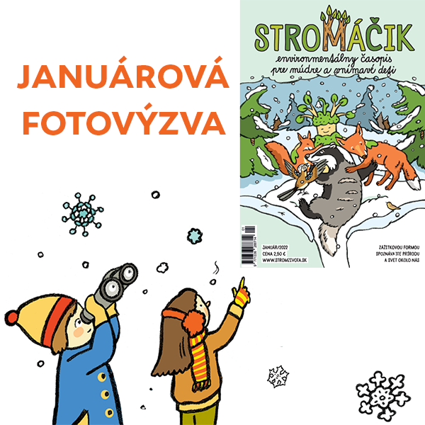 Januárová FOTOVÝZVA