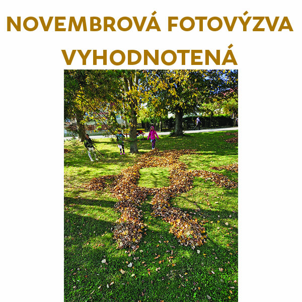 Vyhodnotenie novembrovej FOTOvýzvy